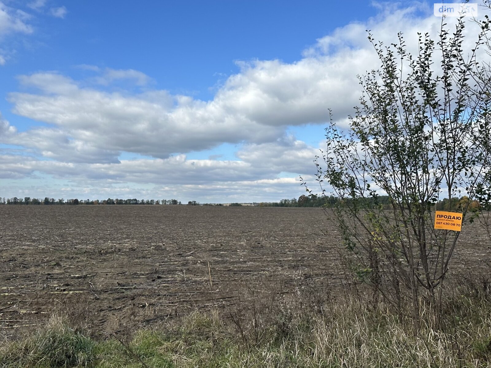 Земельный участок под жилую застройку в Якушинцах, площадь 1.9224 Га фото 1 Земельный участок под жилую застройку в Якушинцах, площадь 1.9224 Га фото 1