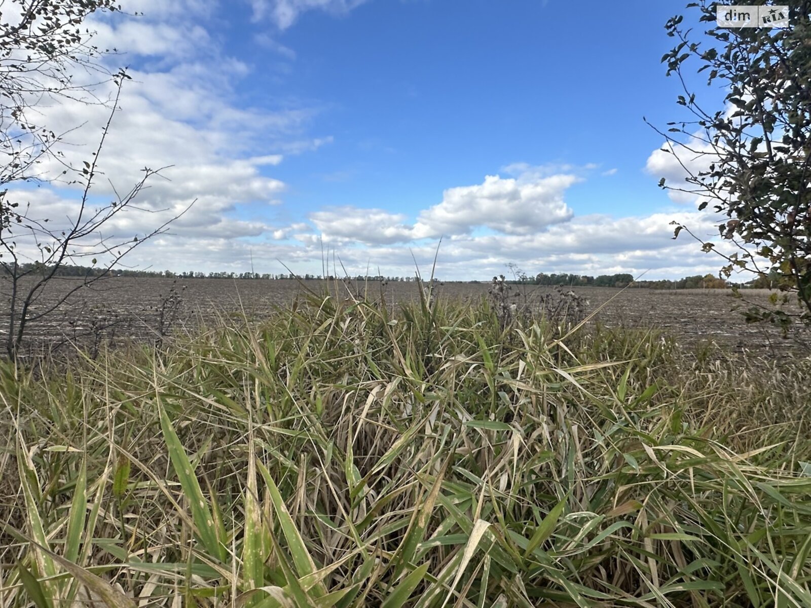 Земельный участок под жилую застройку в Якушинцах, площадь 1.9224 Га фото 1 Земельный участок под жилую застройку в Якушинцах, площадь 1.9224 Га фото 1