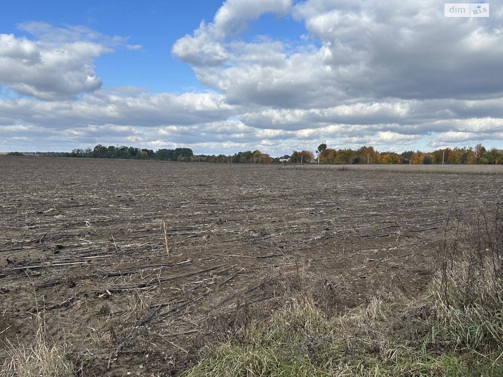 Земельный участок под жилую застройку в Якушинцах, площадь 1.9224 Га фото 1 Земельный участок под жилую застройку в Якушинцах, площадь 1.9224 Га фото 1