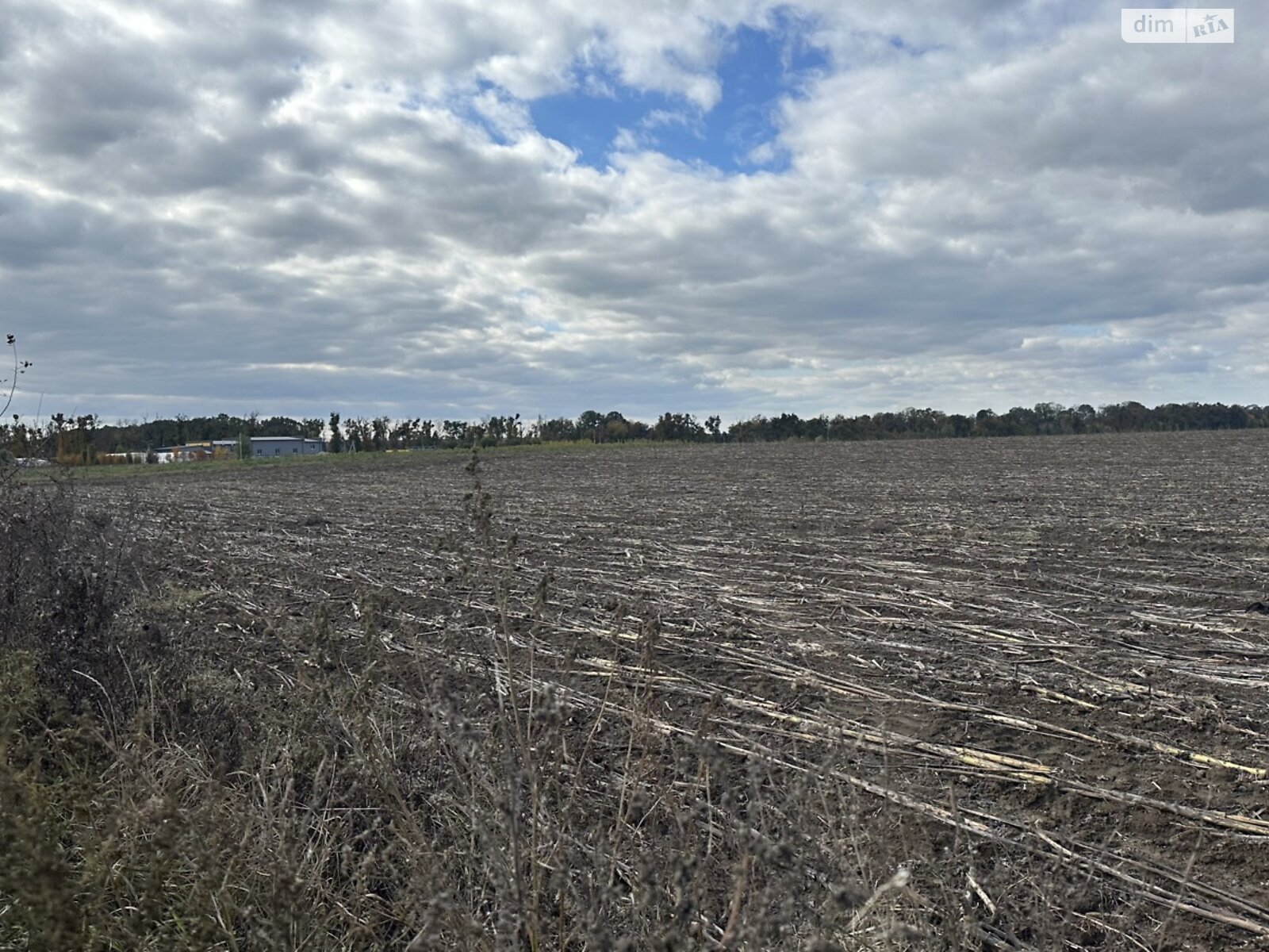 Земельный участок под жилую застройку в Якушинцах, площадь 1.9224 Га фото 1 Земельный участок под жилую застройку в Якушинцах, площадь 1.9224 Га фото 1