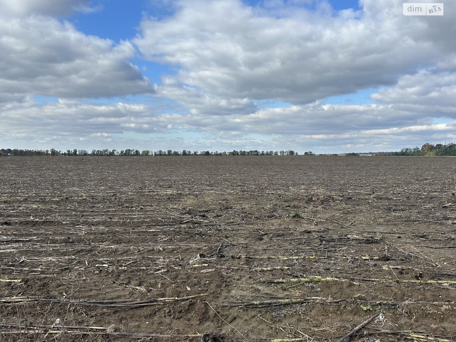 Земельный участок под жилую застройку в Якушинцах, площадь 1.9224 Га фото 1 Земельный участок под жилую застройку в Якушинцах, площадь 1.9224 Га фото 1