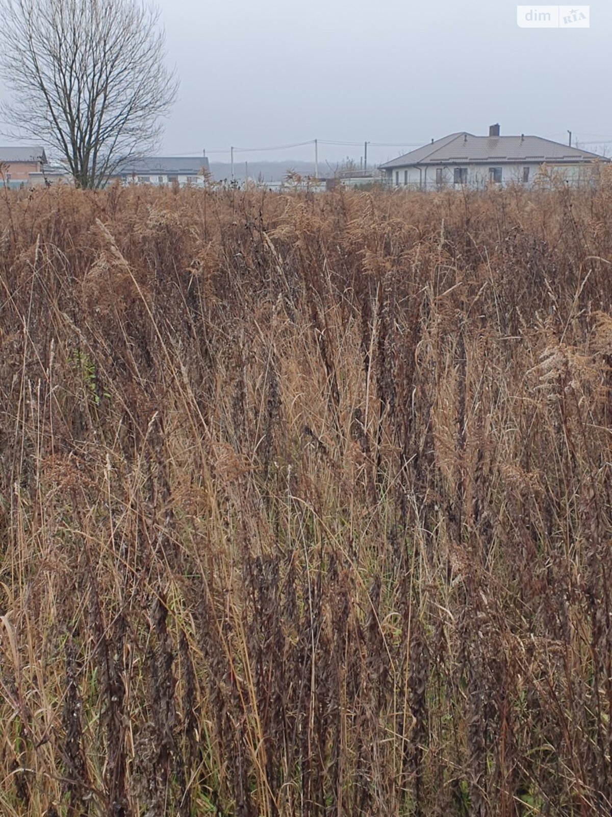 Земельный участок под жилую застройку в Якушинцах, площадь 10 соток фото 1 Земельный участок под жилую застройку в Якушинцах, площадь 10 соток фото 1