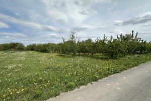Земельна ділянка під житлову забудову в Якушинцях, площа 25 соток фото 2