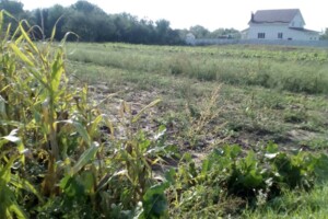 Земельна ділянка під житлову забудову в Якушинцях, площа 10 соток фото 2