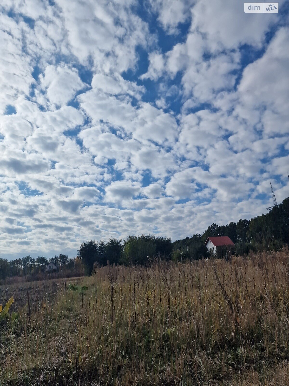 Земельна ділянка під житлову забудову в Якушинцях, площа 8 соток фото 1