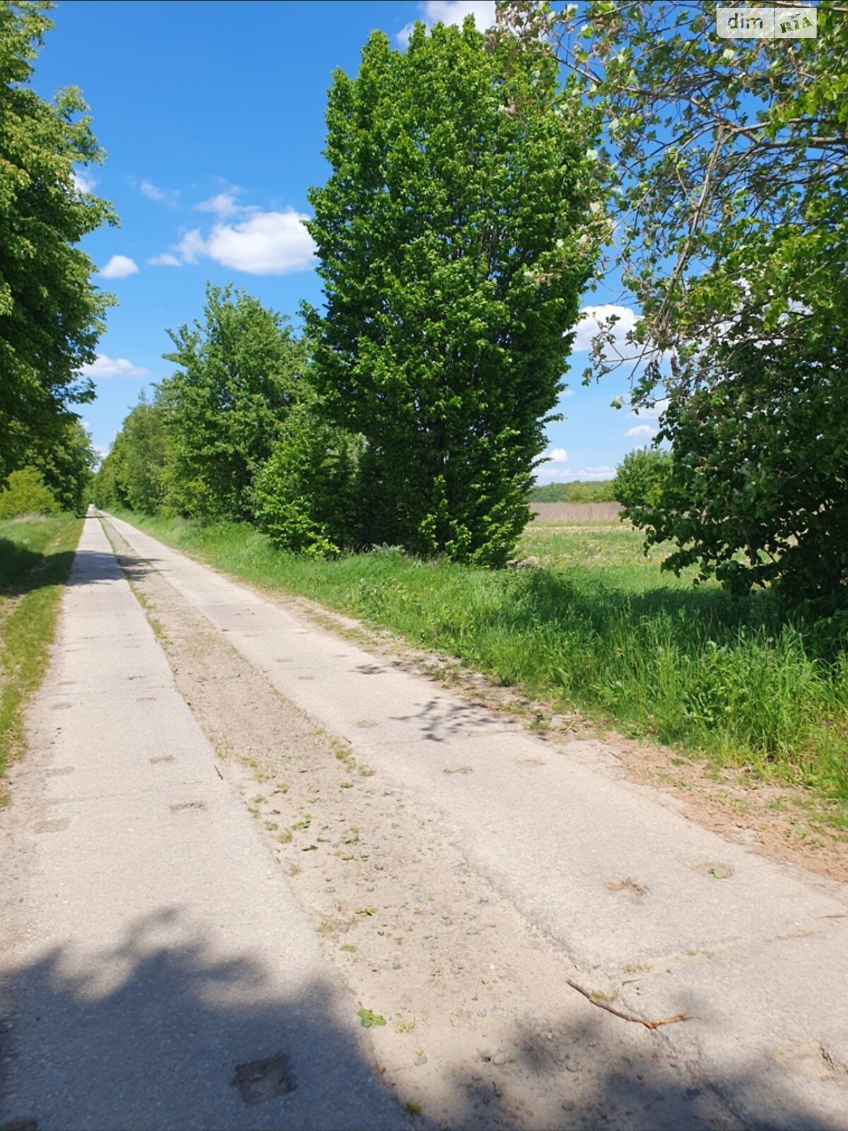 Земельный участок под жилую застройку в Якушинцах, площадь 20 соток фото 1