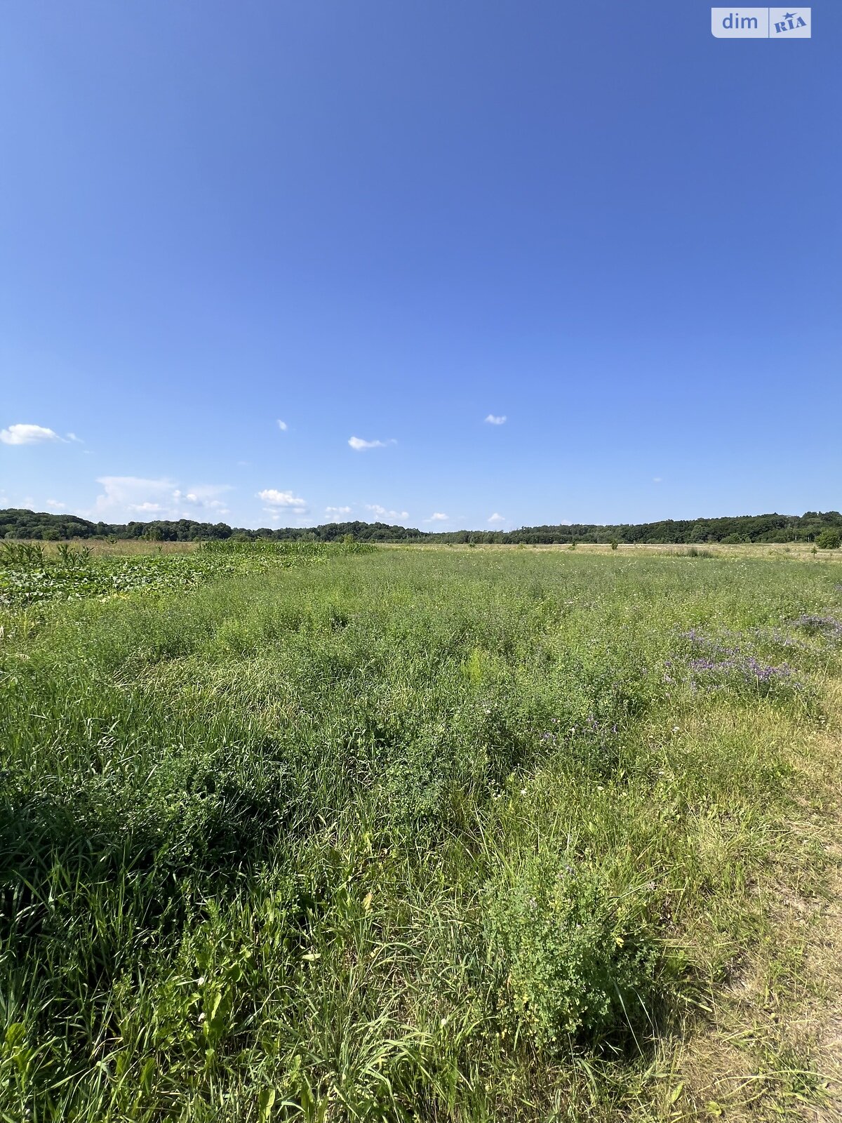 Земельна ділянка під житлову забудову в Якушинцях, площа 20 соток фото 1