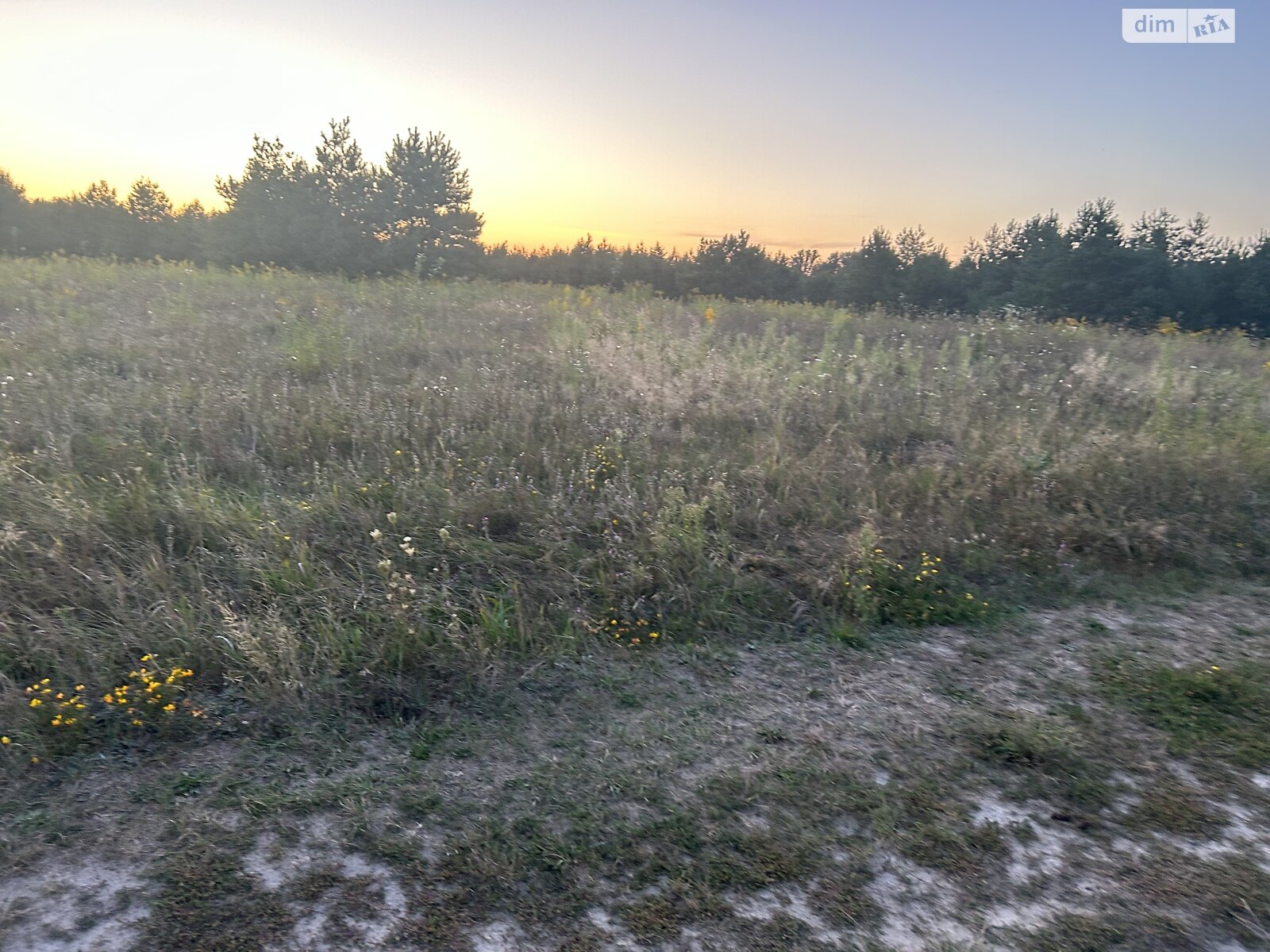 Земельна ділянка під житлову забудову в Якушинцях, площа 12 соток фото 1 Земельна ділянка під житлову забудову в Якушинцях, площа 12 соток фото 1