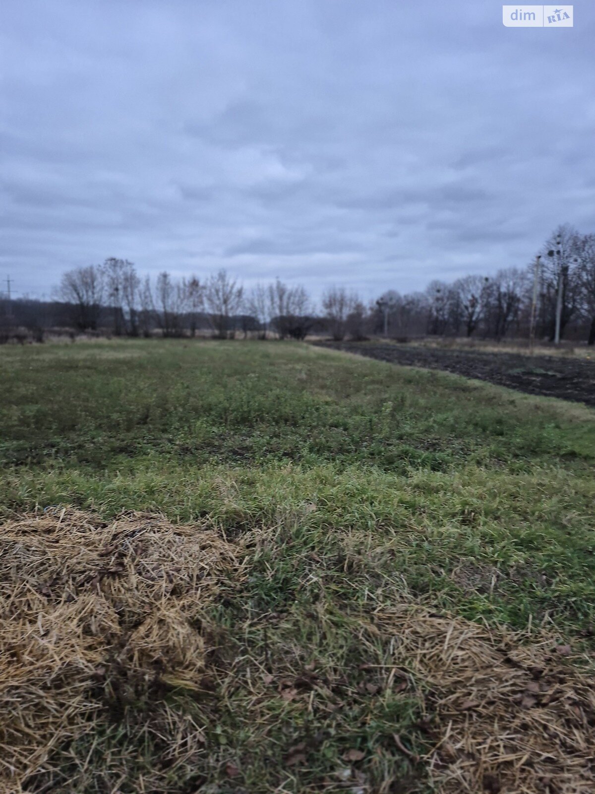 Земельный участок под жилую застройку в Якушинцах, площадь 50 соток фото 1