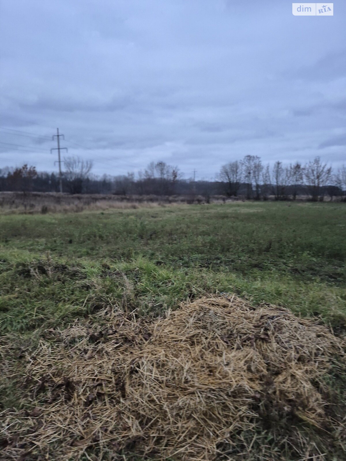 Земельный участок под жилую застройку в Якушинцах, площадь 50 соток фото 1