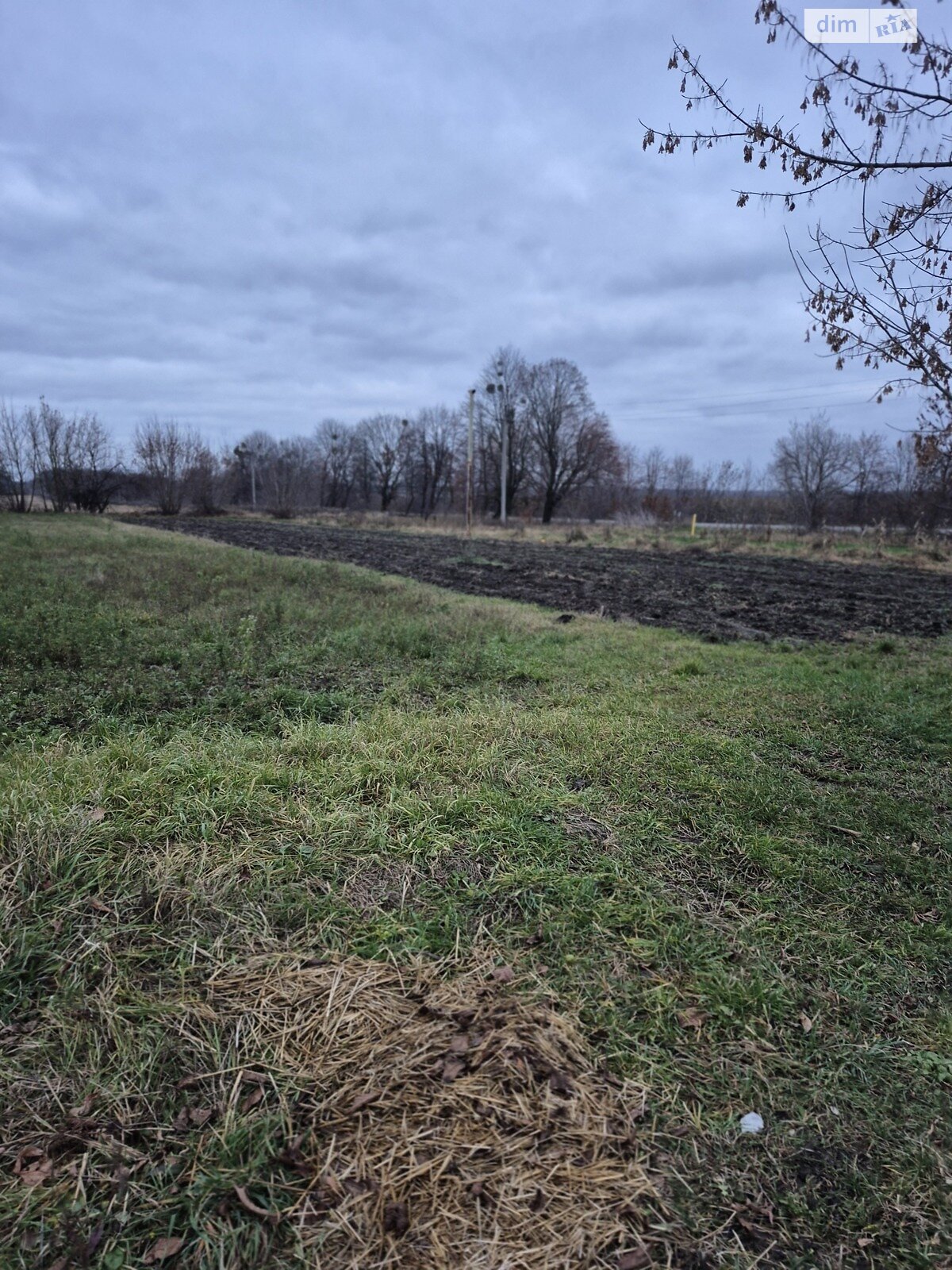 Земельный участок под жилую застройку в Якушинцах, площадь 50 соток фото 1