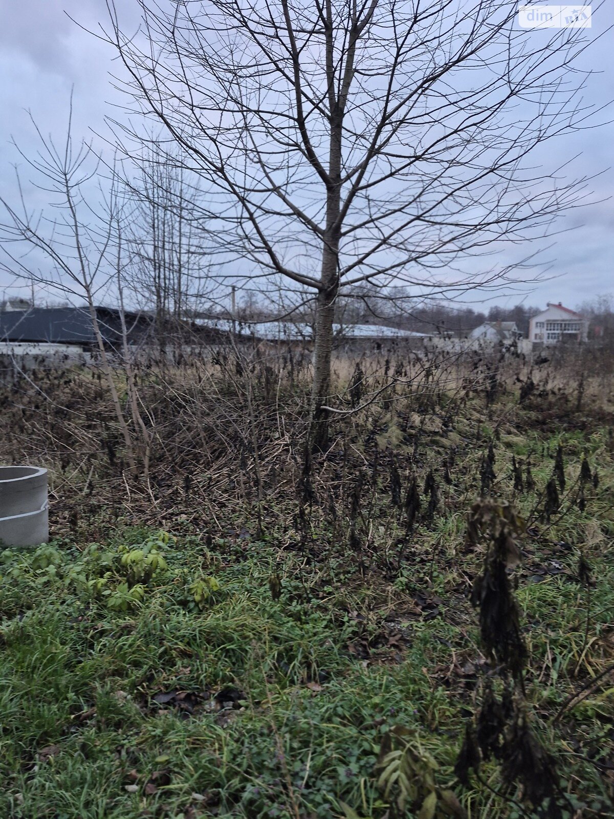 Земельный участок под жилую застройку в Якушинцах, площадь 50 соток фото 1