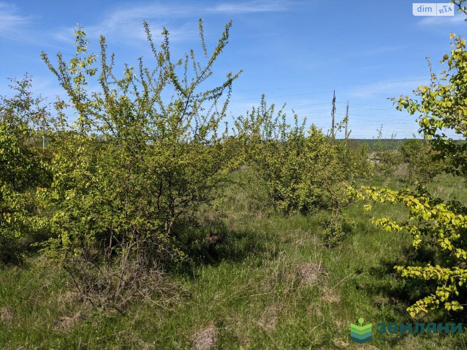 Земельна ділянка під житлову забудову в Ямниці, площа 12.05 сотки фото 1 Земельна ділянка під житлову забудову в Ямниці, площа 12.05 сотки фото 1