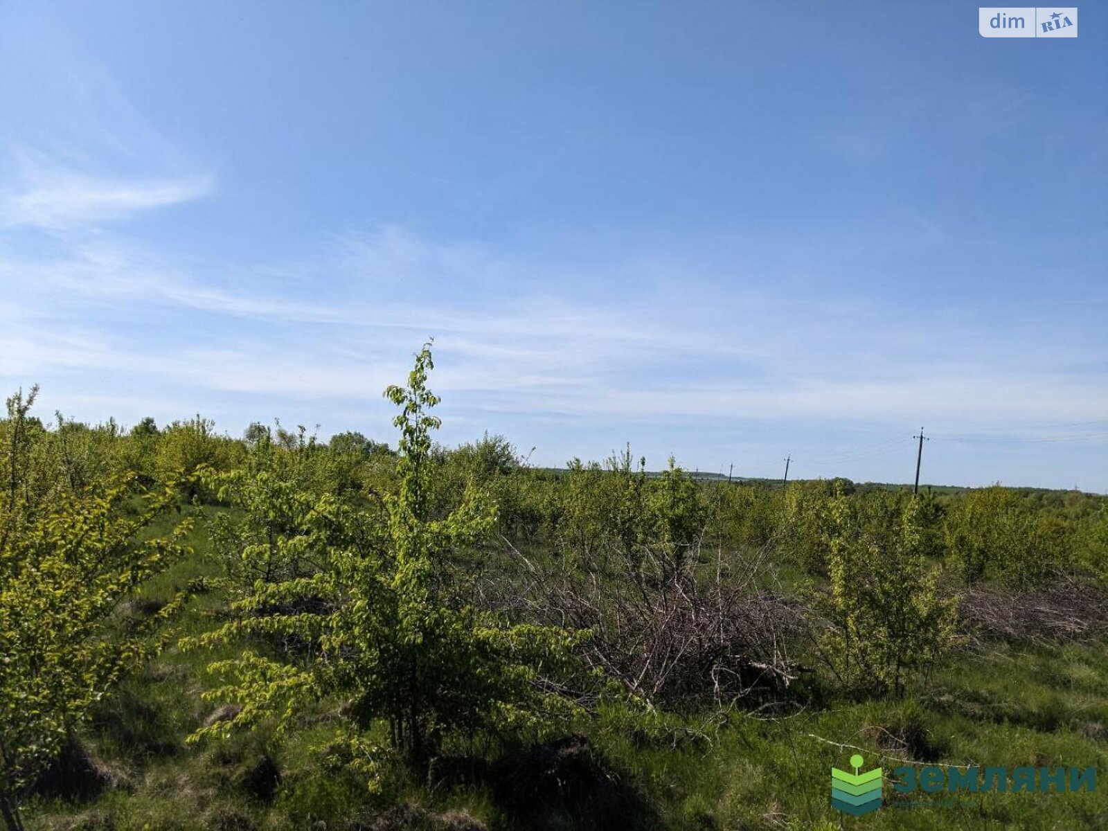 Земельна ділянка під житлову забудову в Ямниці, площа 12.05 сотки фото 1 Земельна ділянка під житлову забудову в Ямниці, площа 12.05 сотки фото 1
