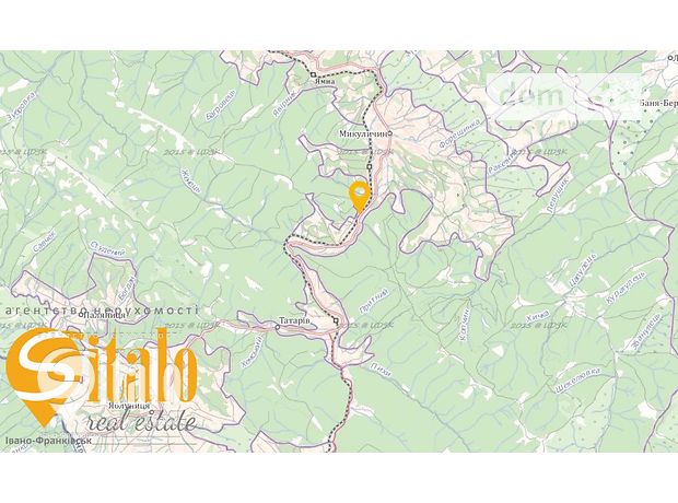 Земельный участок под жилую застройку в Микуличине, площадь 78 соток фото 1 Земельный участок под жилую застройку в Микуличине, площадь 78 соток фото 1