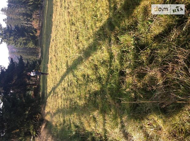 Земельный участок под жилую застройку в Ворохте, площадь 15 соток фото 1 Земельный участок под жилую застройку в Ворохте, площадь 15 соток фото 1