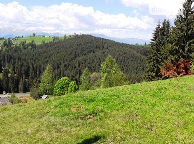 Земля под жилую застройку в селе Яблоница, площадь 60 соток фото 1 Земля под жилую застройку в селе Яблоница, площадь 60 соток фото 1