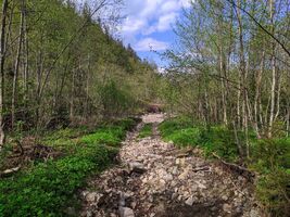 Земля под жилую застройку в Яремче, район Яремче, площадь 48 соток фото 2