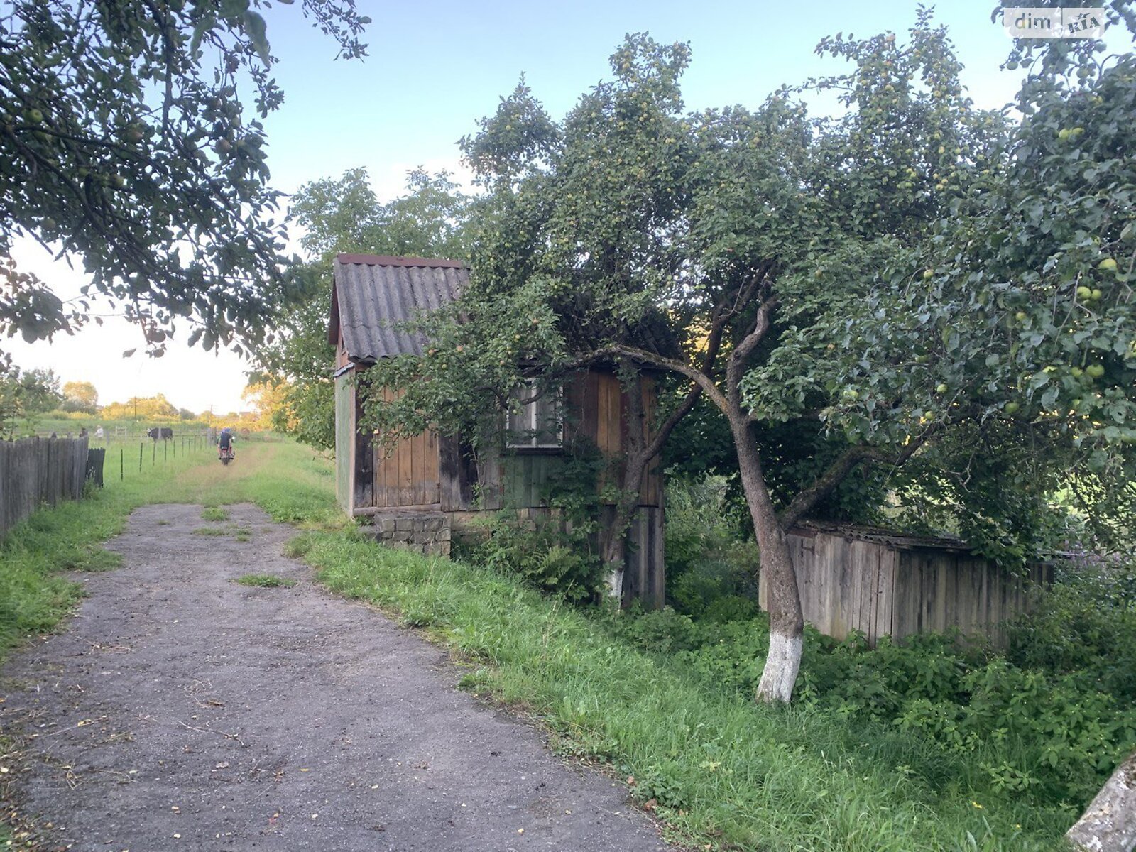 Земельный участок под жилую застройку в Яремче, площадь 32 сотки фото 1 Земельный участок под жилую застройку в Яремче, площадь 32 сотки фото 1
