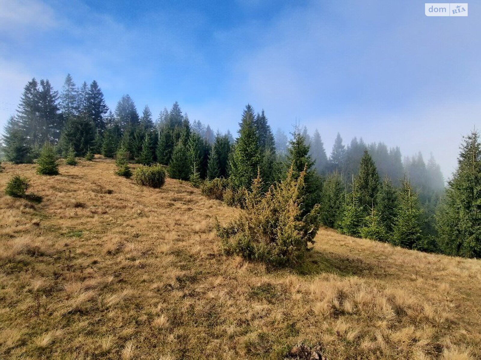 Земельна ділянка під житлову забудову в Яблуниці, площа 152 сотки фото 1