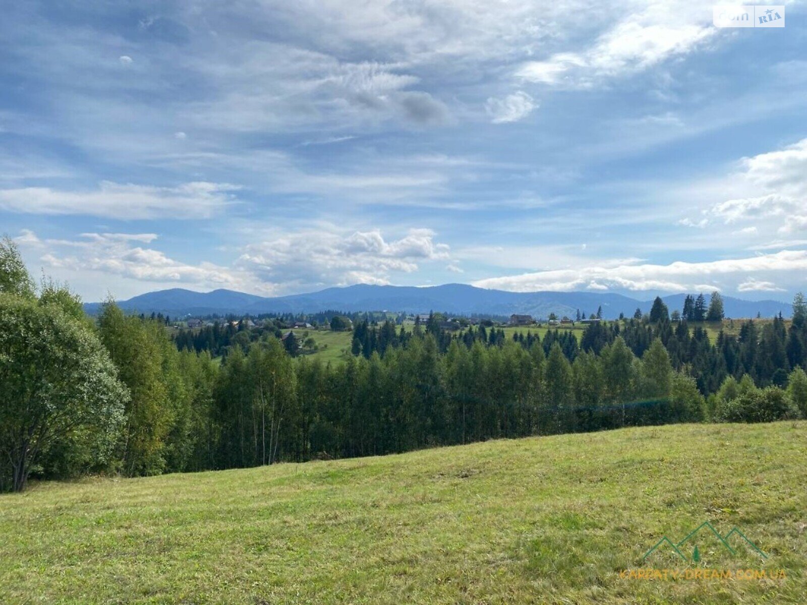 Земельный участок под жилую застройку в Яблонице, площадь 51 сотка фото 1