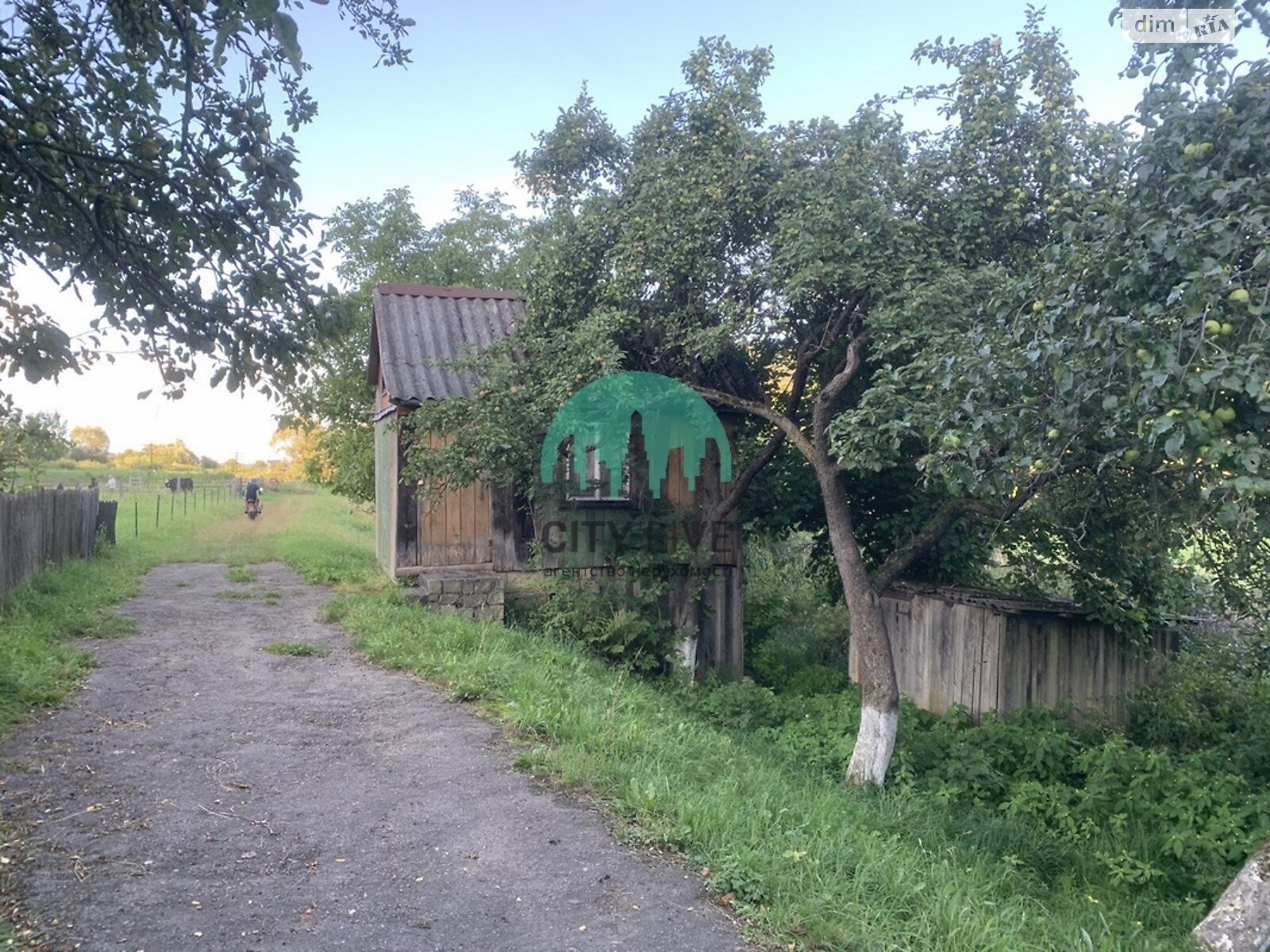 Земля під житлову забудову в Яремчі, район Яремче, площа 32 сотки фото 1