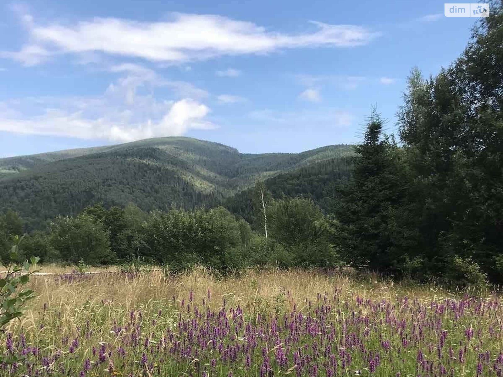 Земля під житлову забудову в Яремчі, район Яремче, площа 25 соток фото 1