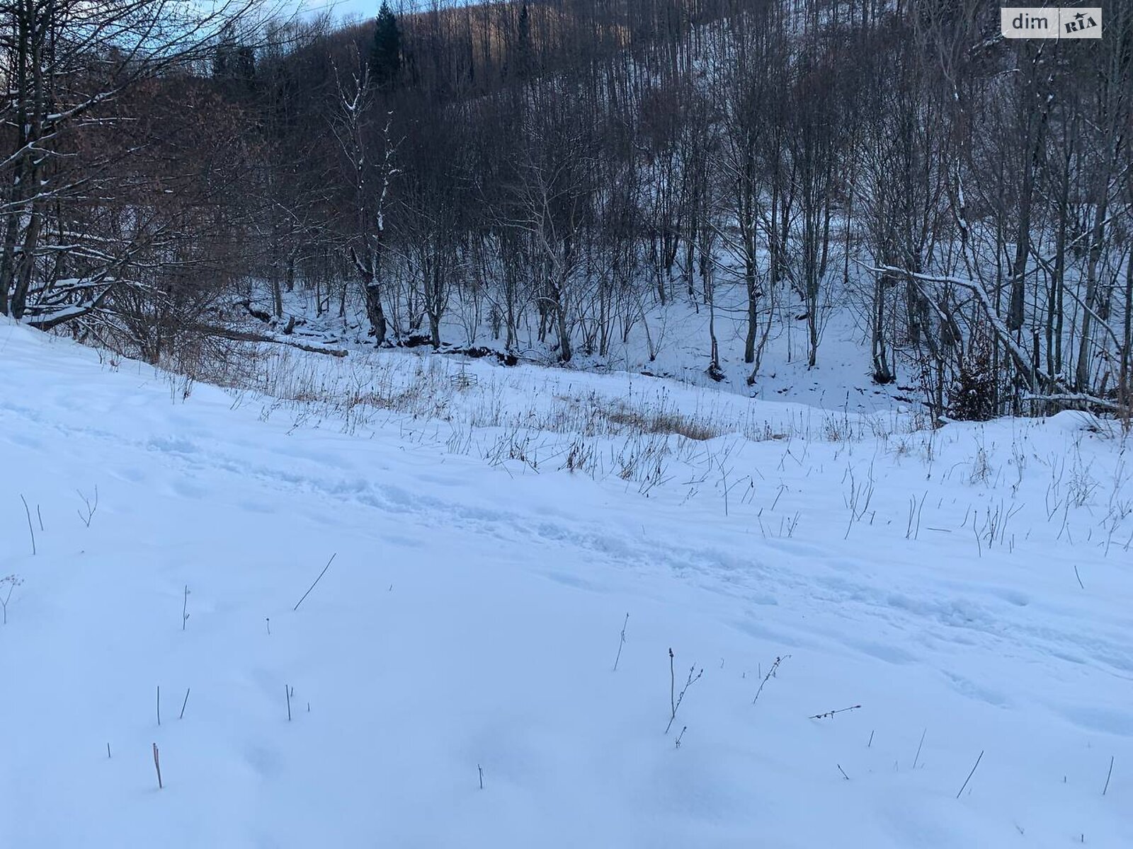 Земля під житлову забудову в Яремчі, район Яремче, площа 28 соток фото 1