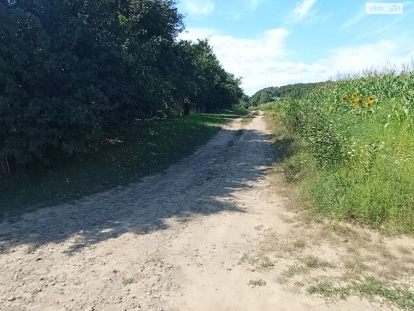 Земельна ділянка під житлову забудову в Яришівці, площа 24 сотки фото 1