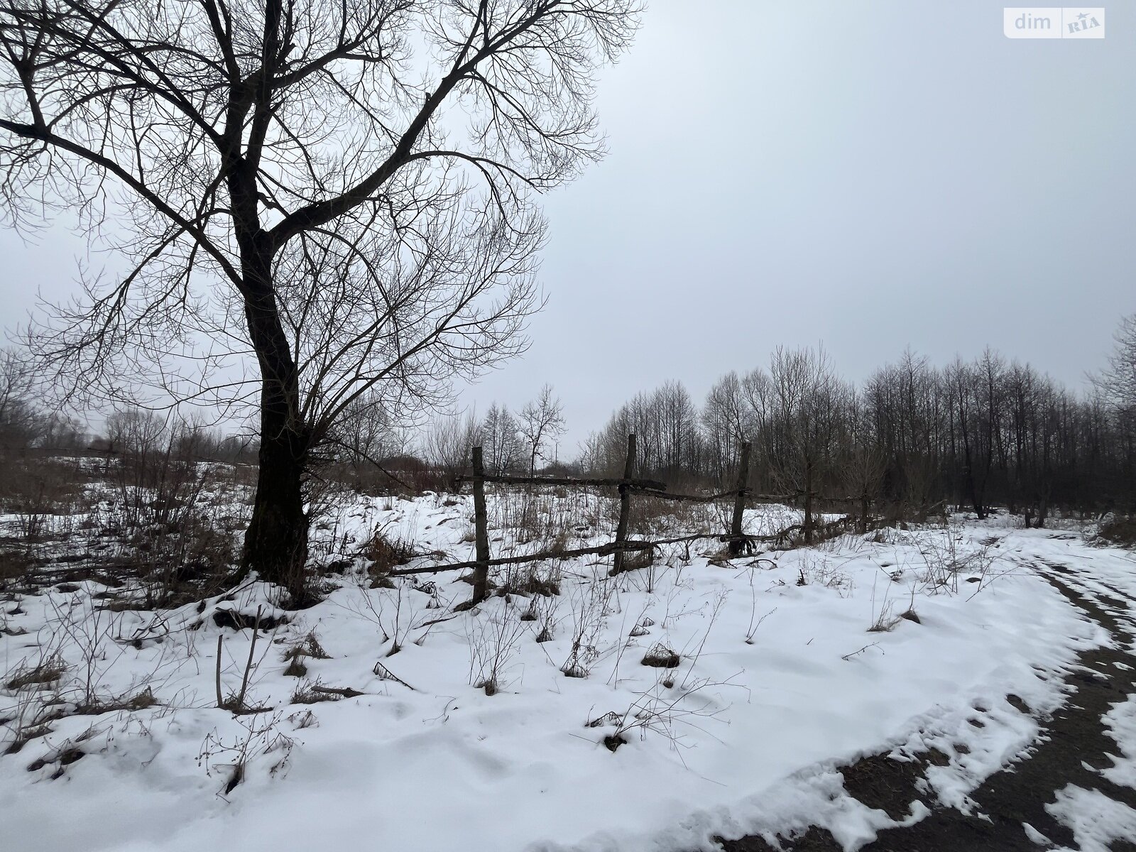 Земельна ділянка під житлову забудову в Ясниській, площа 0.1081 Га фото 1 Земельна ділянка під житлову забудову в Ясниській, площа 0.1081 Га фото 1