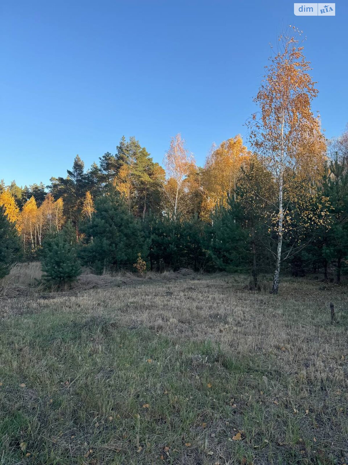 Земельна ділянка під житлову забудову в Ясногородці, площа 12 соток фото 1