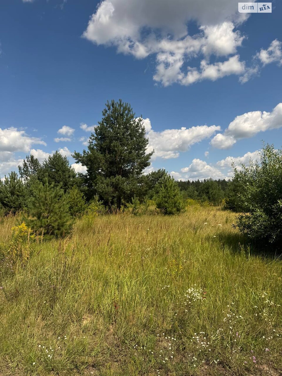 Земельна ділянка під житлову забудову в Ясногородці, площа 12 соток фото 1