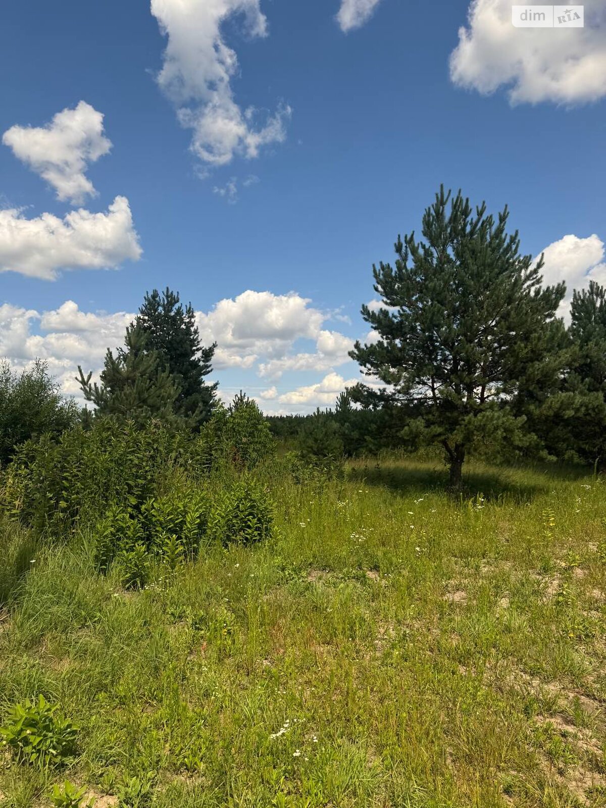 Земельна ділянка під житлову забудову в Ясногородці, площа 12 соток фото 1