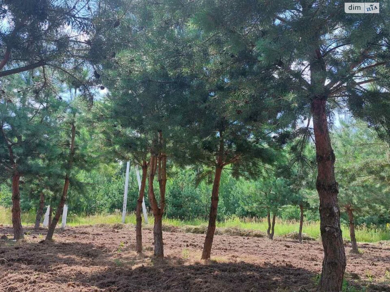 Земельна ділянка під житлову забудову в Ясногородці, площа 8.46 сотки фото 1