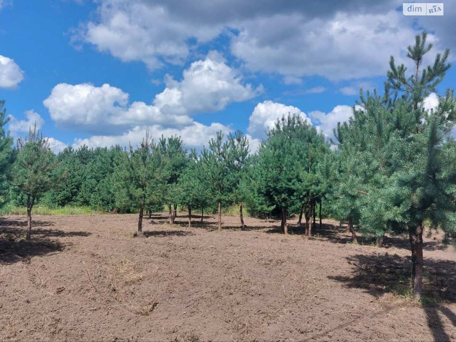 Земельна ділянка під житлову забудову в Ясногородці, площа 8.46 сотки фото 1