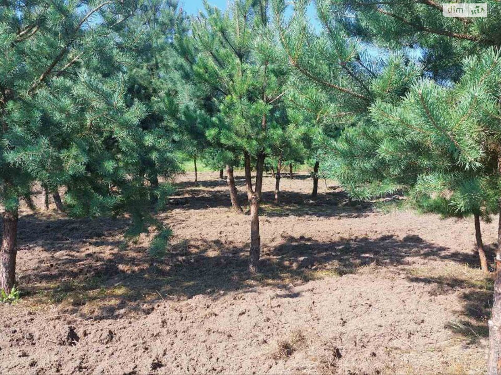 Земельна ділянка під житлову забудову в Ясногородці, площа 8.46 сотки фото 1