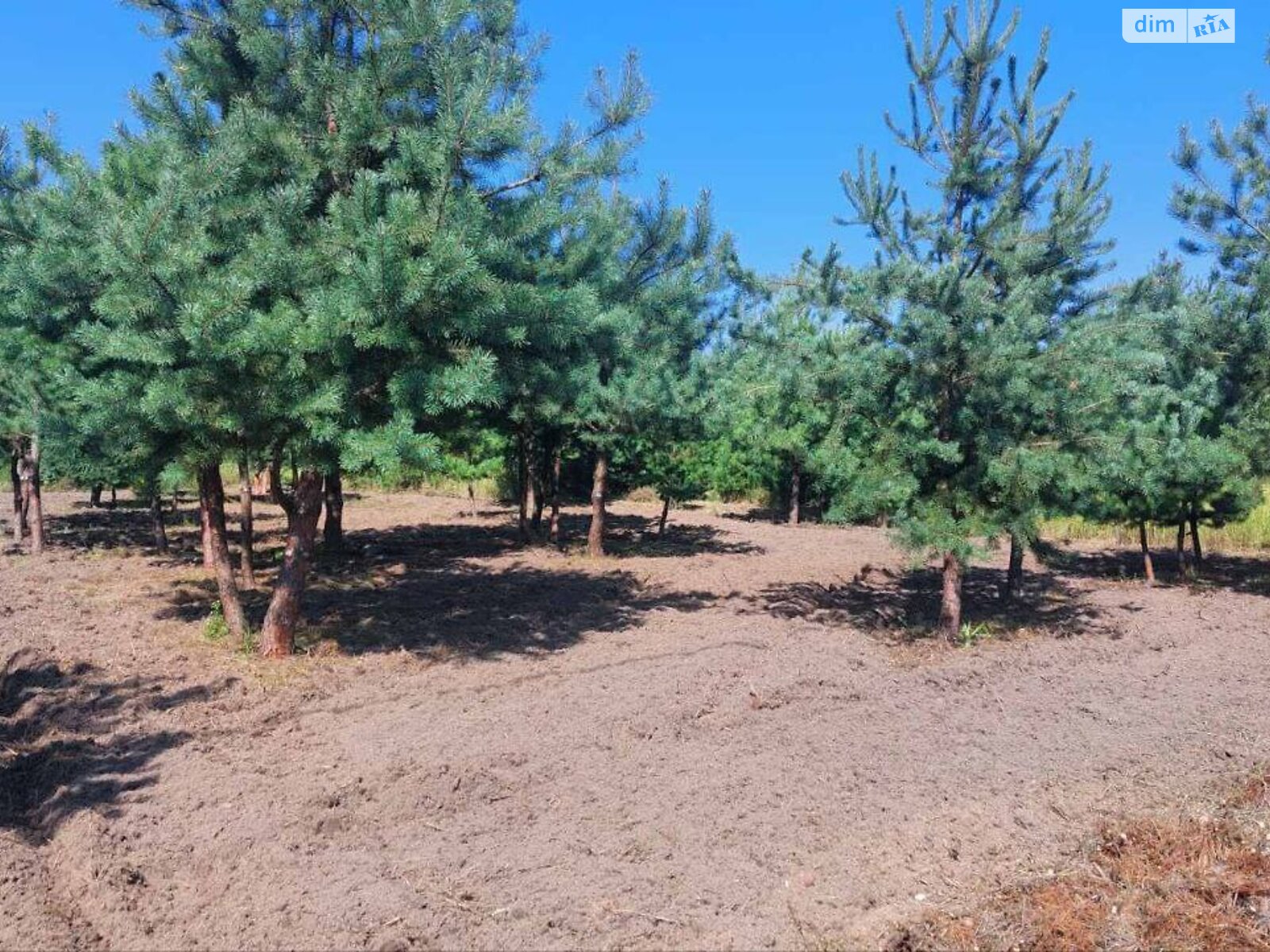 Земельна ділянка під житлову забудову в Ясногородці, площа 8.46 сотки фото 1