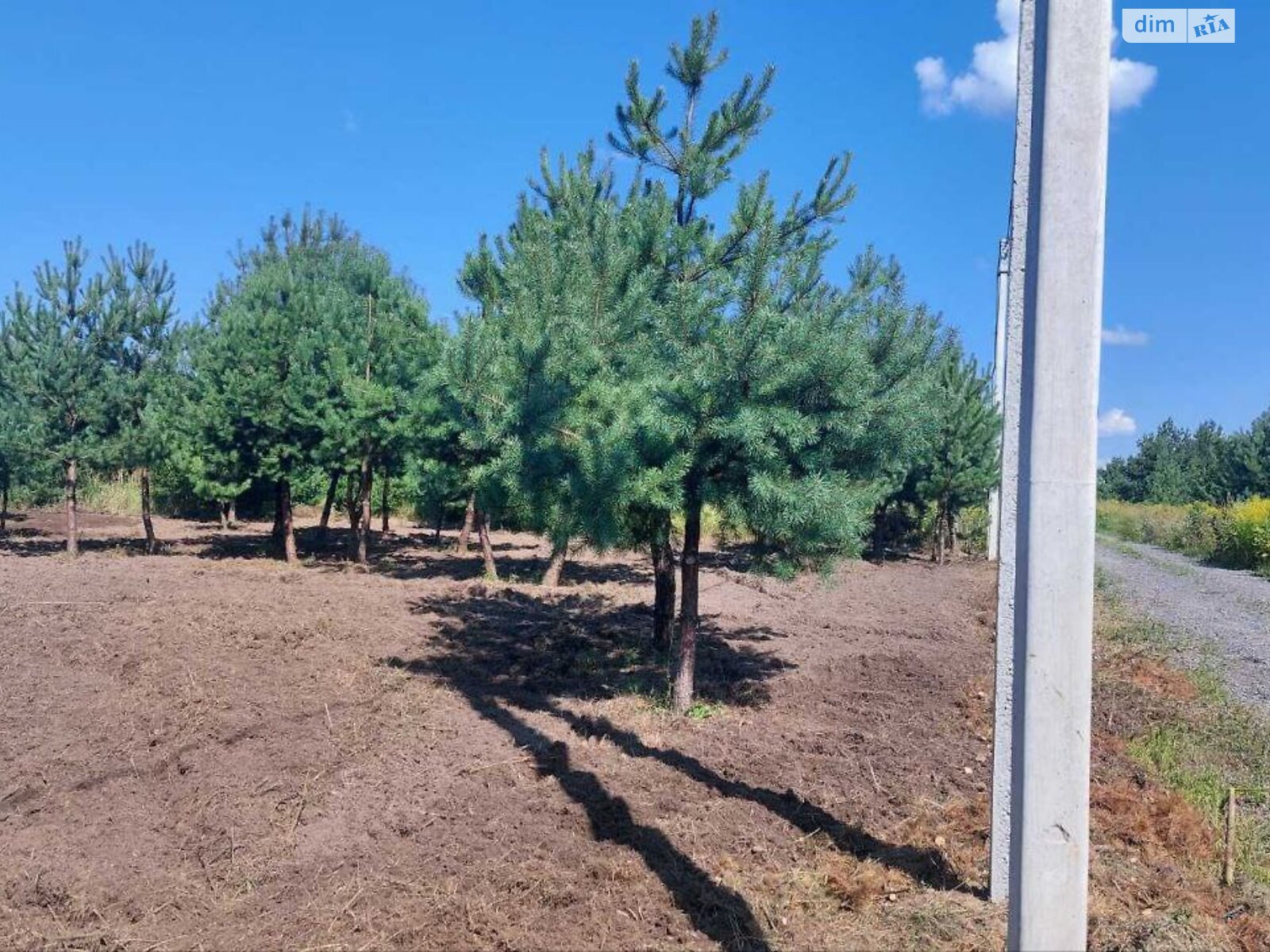 Земельна ділянка під житлову забудову в Ясногородці, площа 8.46 сотки фото 1