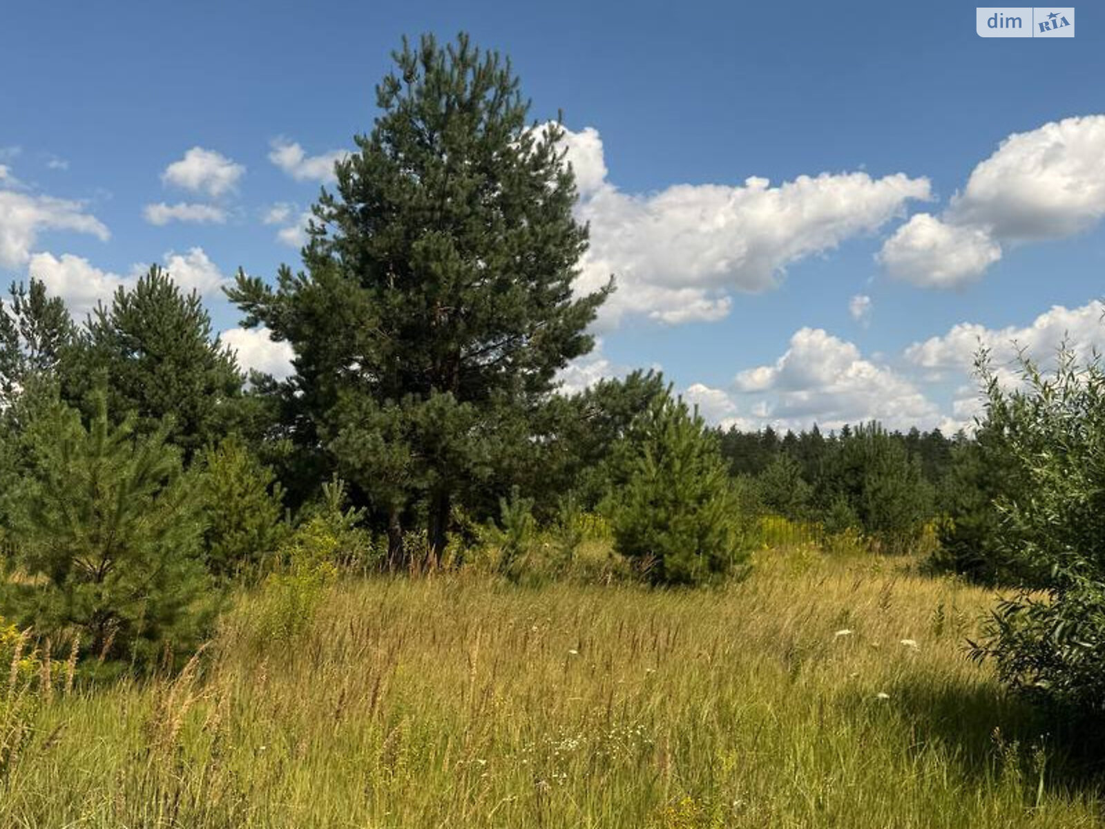Земельна ділянка під житлову забудову в Ясногородці, площа 12 соток фото 1