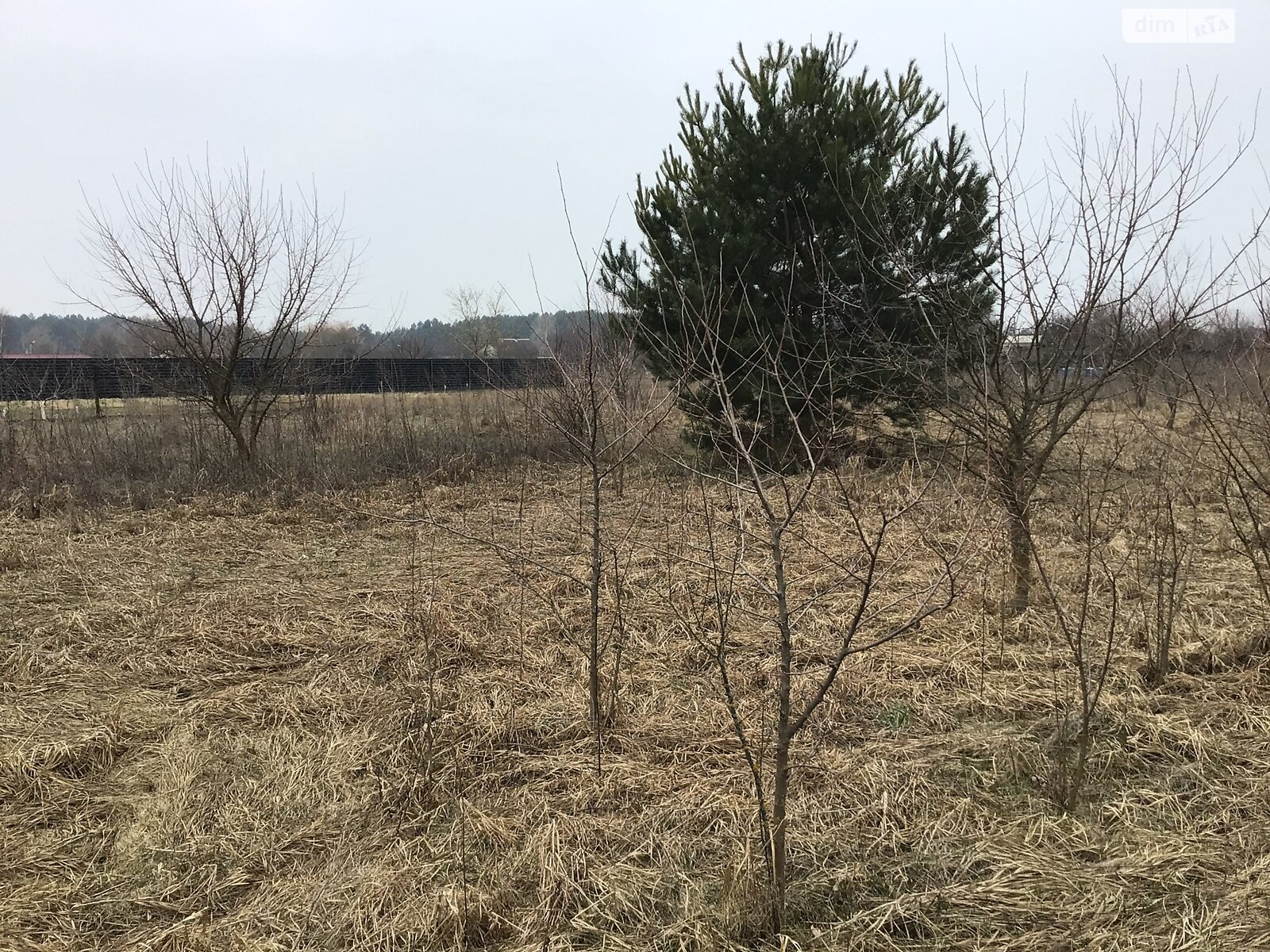 Земельна ділянка під житлову забудову в Ясногородці, площа 20.3 сотки фото 1