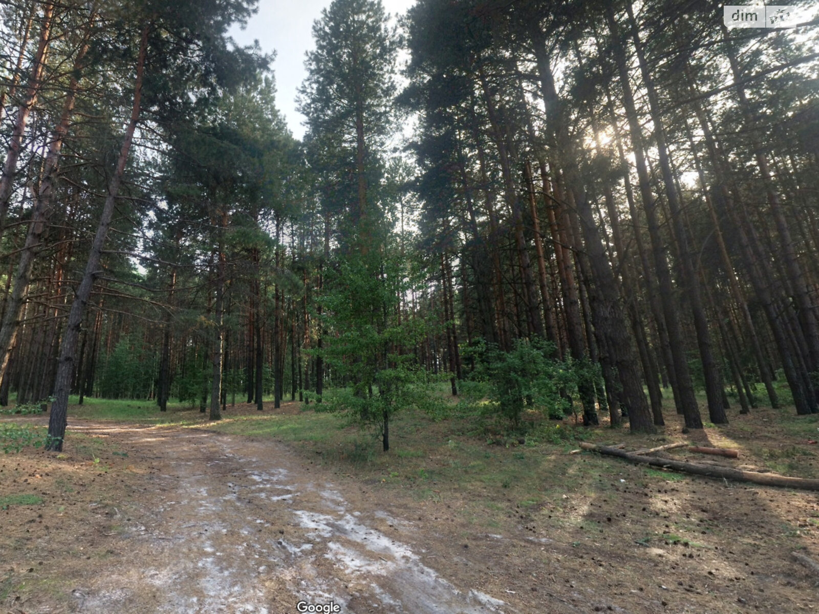 Земельна ділянка під житлову забудову в Ясногородці, площа 0.98 Га фото 1