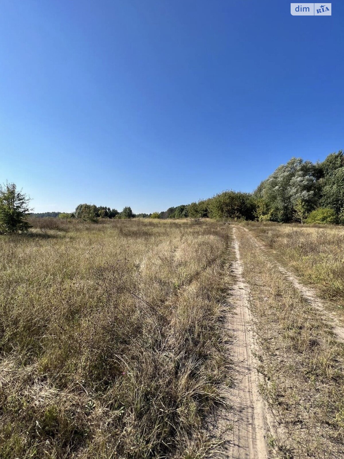 Земельный участок под жилую застройку в Ясногородке, площадь 24 сотки фото 1