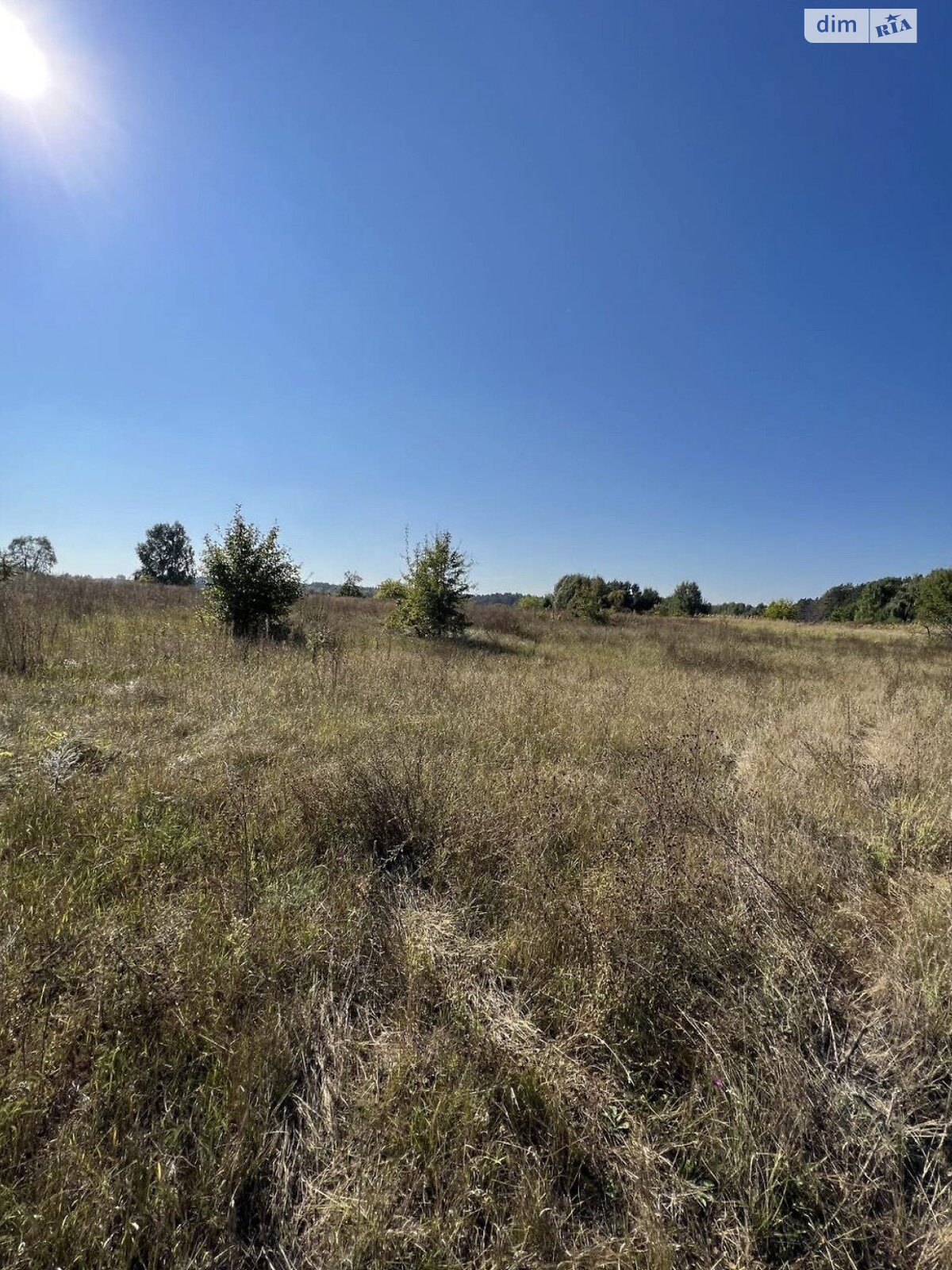 Земельный участок под жилую застройку в Ясногородке, площадь 24 сотки фото 1