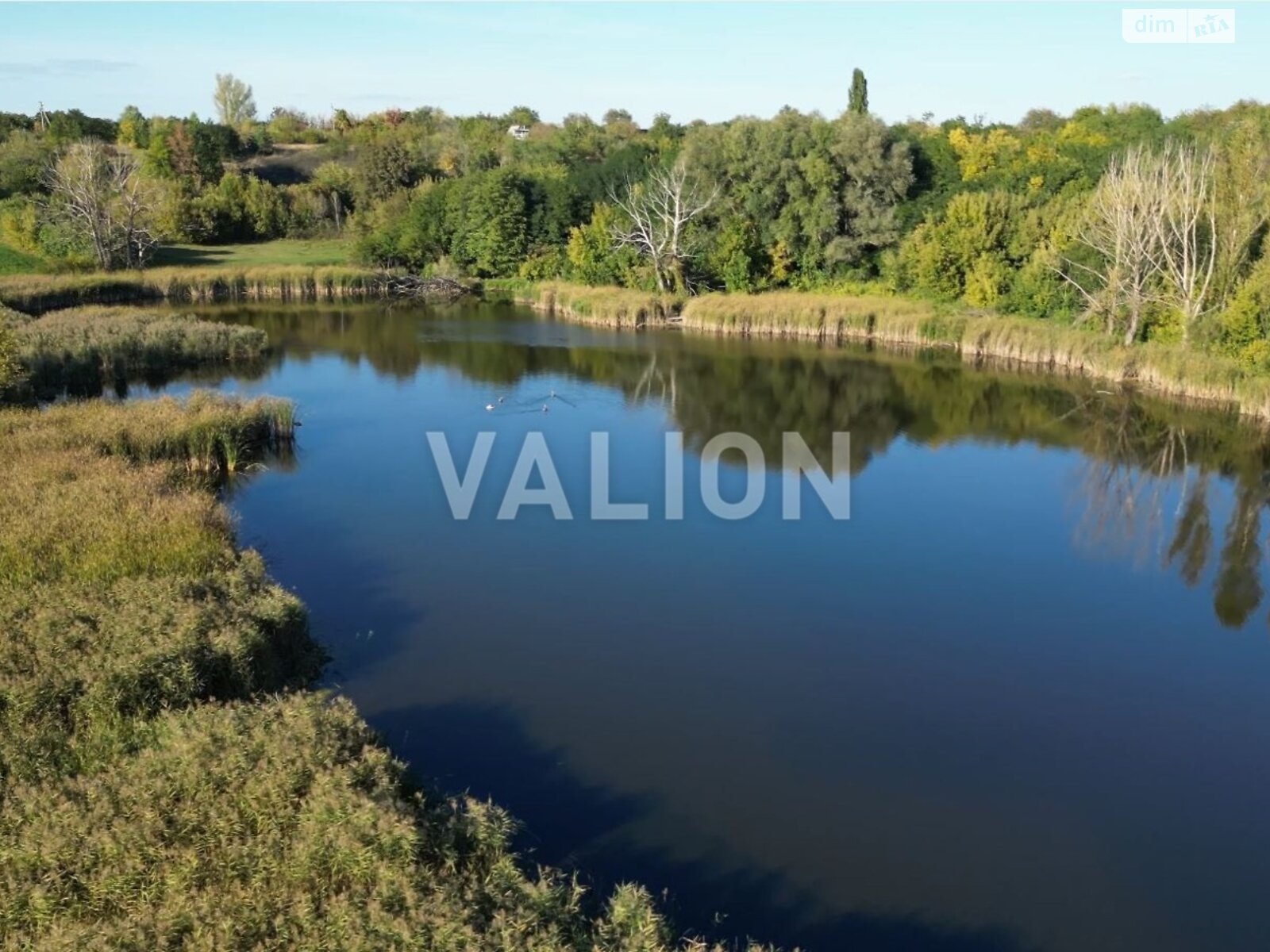 Земельный участок под жилую застройку в Яцьках, площадь 45.5 сотки фото 1 Земельный участок под жилую застройку в Яцьках, площадь 45.5 сотки фото 1