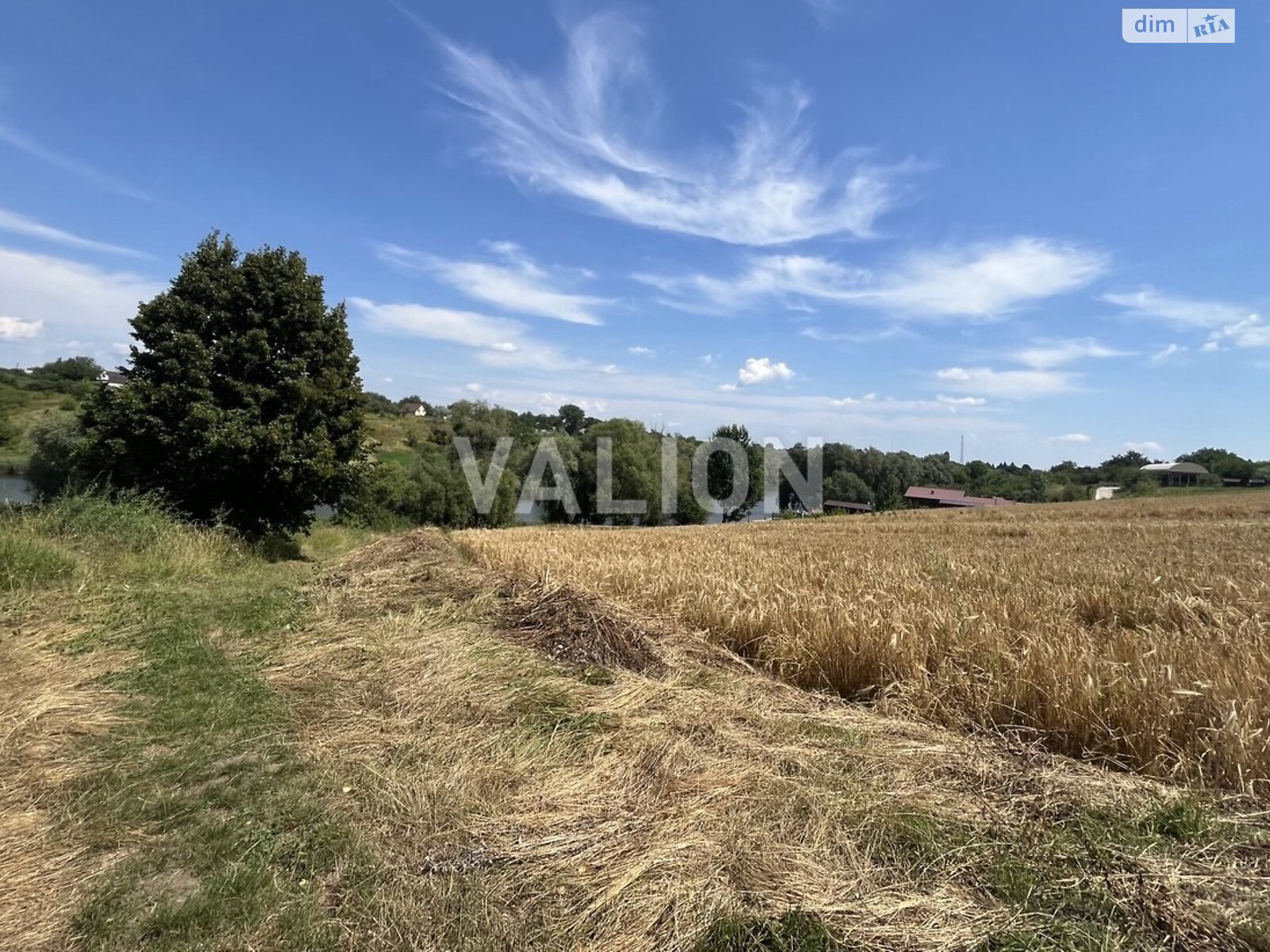 Земельный участок под жилую застройку в Яцьках, площадь 45.5 сотки фото 1 Земельный участок под жилую застройку в Яцьках, площадь 45.5 сотки фото 1