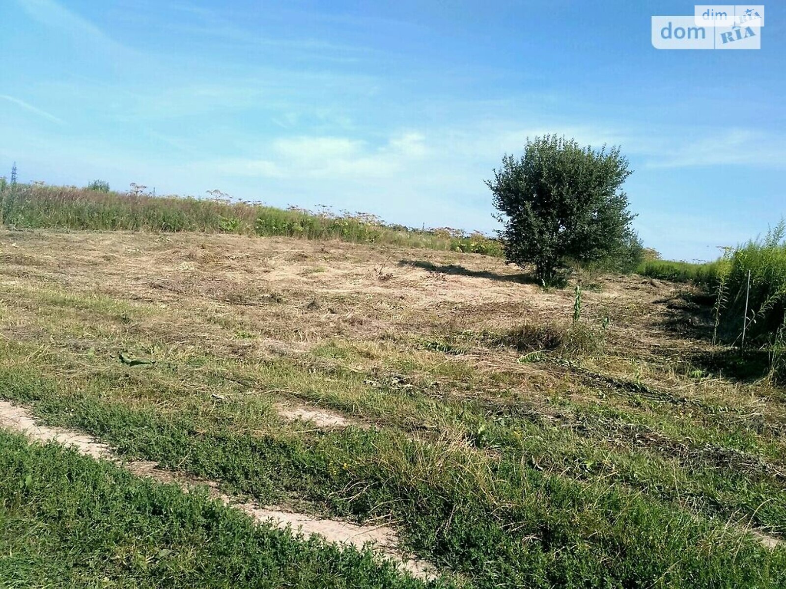 Земельна ділянка під житлову забудову в Домажире, площа 12 соток фото 1