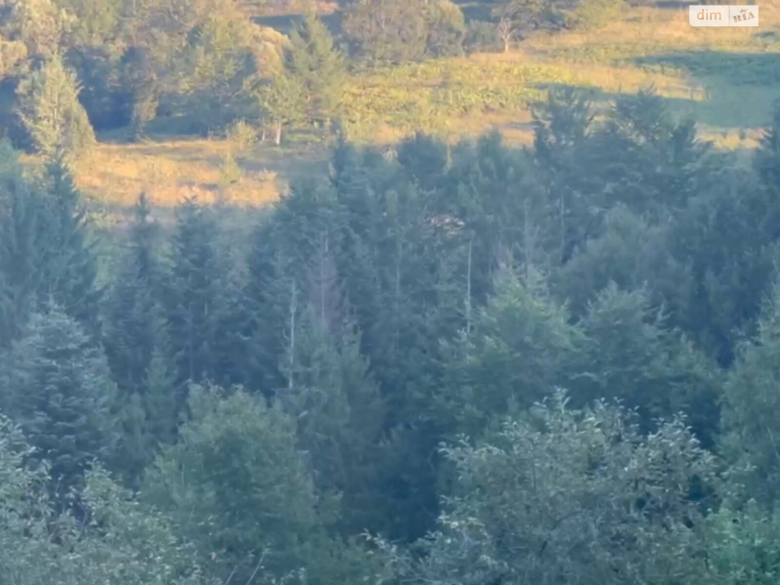 Земельна ділянка під житлову забудову в Яворові, площа 225 соток фото 1 Земельна ділянка під житлову забудову в Яворові, площа 225 соток фото 1