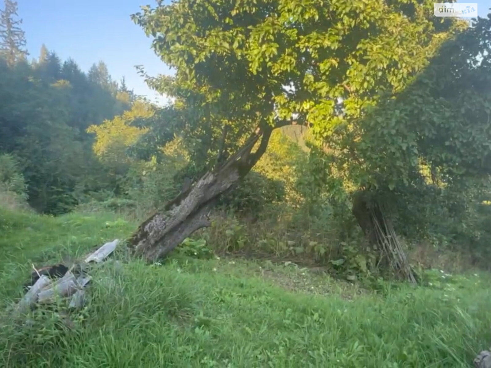 Земельна ділянка під житлову забудову в Яворові, площа 225 соток фото 1 Земельна ділянка під житлову забудову в Яворові, площа 225 соток фото 1