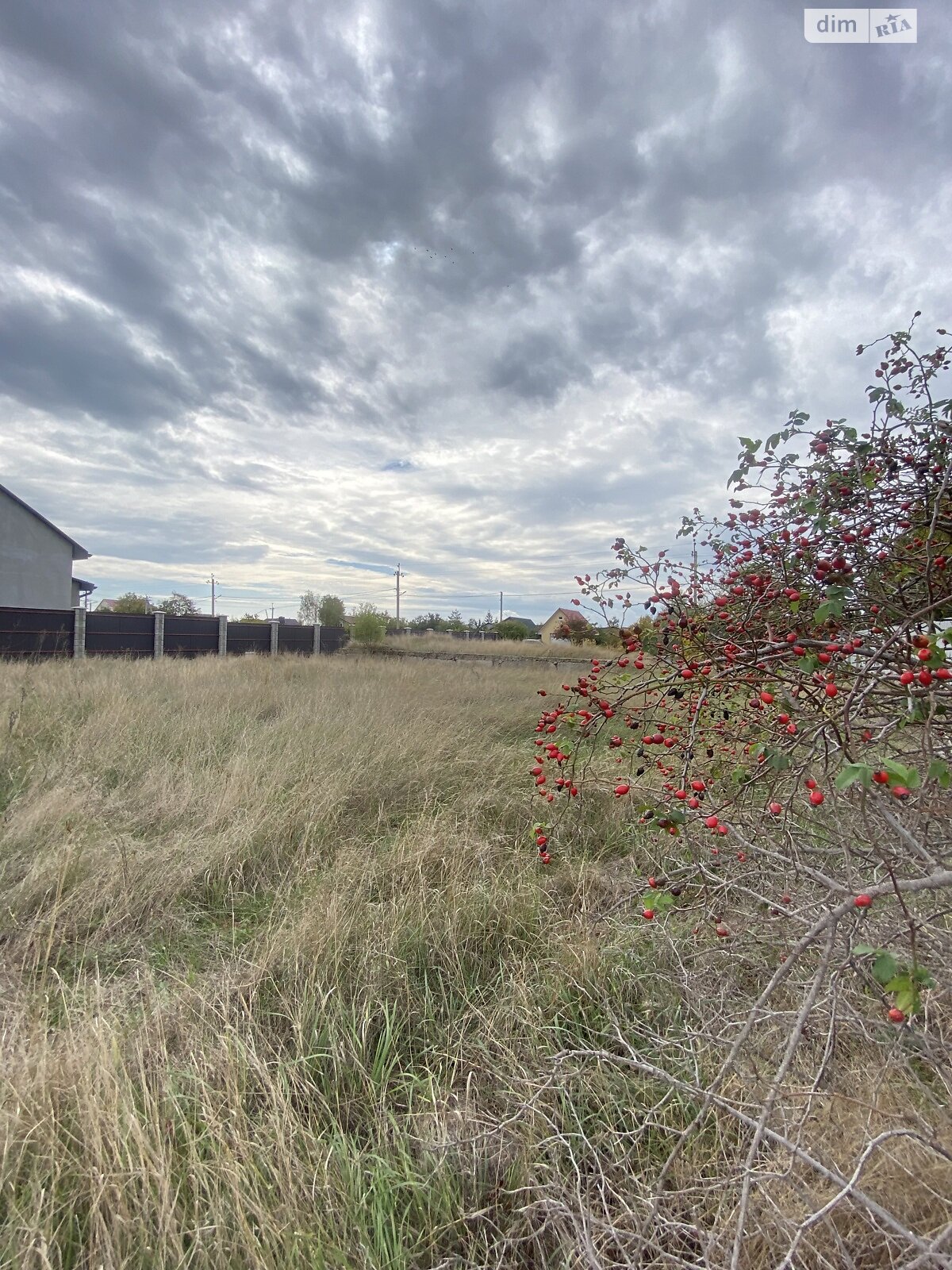 Земельный участок под жилую застройку в Южном, площадь 9.84 сотки фото 1