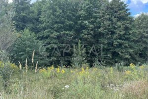 Земельный участок под жилую застройку в Юровке, площадь 12 соток фото 2